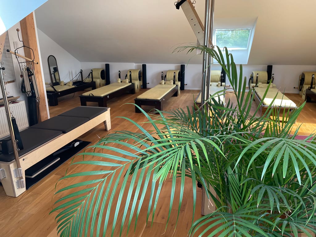 Reformer mit dem Mat-converter